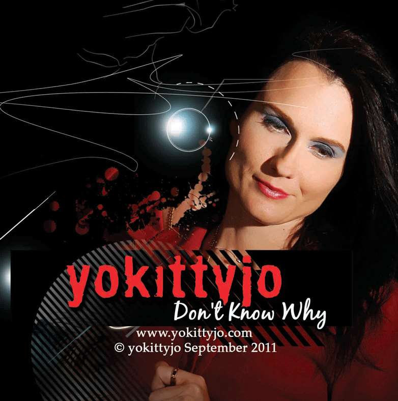 yokittyjo don't know why artwork