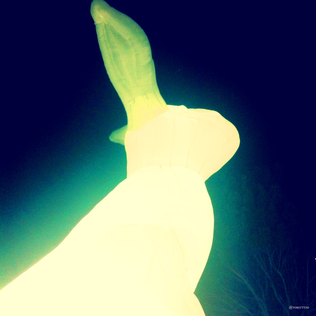 Yokittyjo @ the Sydney Vivid Festival 2014